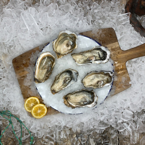 Wildkare Oysters (1/2 Shell) DOZ