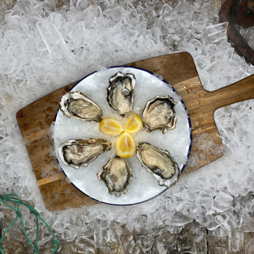 Wildkare Oysters (Fresh In Shell) DOZ