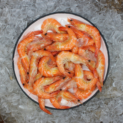 Frozen Whole Cooked Tiger Prawn 13/15 KG