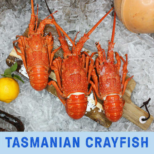 Frozen Cooked Tasmanian Crayfish 1.15KG EA