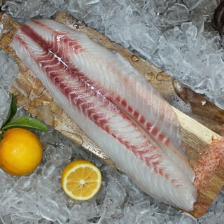 Trumpeter Fillets (Skinned & Boned) KG