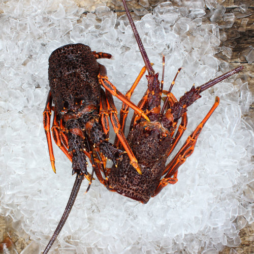 Frozen NZ Crayfish Bodies KG